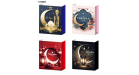 SAC EN CARTON NOEL JB-3621