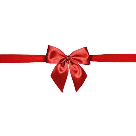 RUBAN CADEAU JB-1461-L01