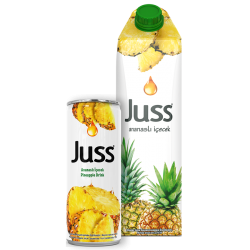 JUS JUSS CANETTE ANANAS NECTAR