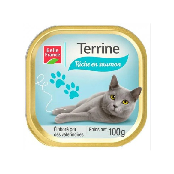 BARQ CHAT SAUMON 100GR