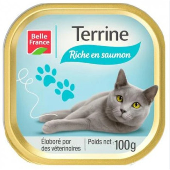 BARQ CHAT SAUMON 100GR