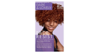 DARK & LOVELY HAIR COLOR 376