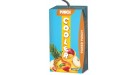 COOLER PUNCH 250ML