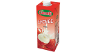 CAMELLI LETCHIS 1L