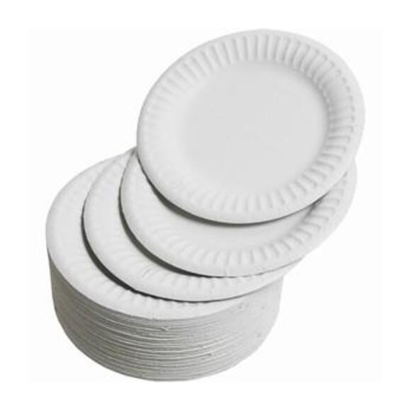 PAPER PLATE 7 X 1 X 12P (FLC)