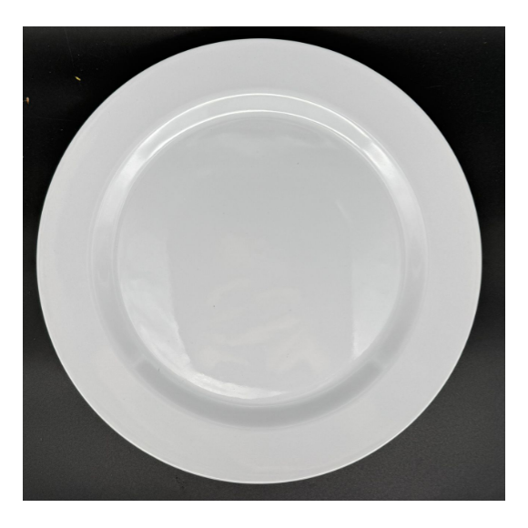 ASSIETTE PLAST 25 CM JB-1546