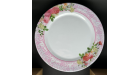 ASSIETTE PLAST 25 CM JB-1549