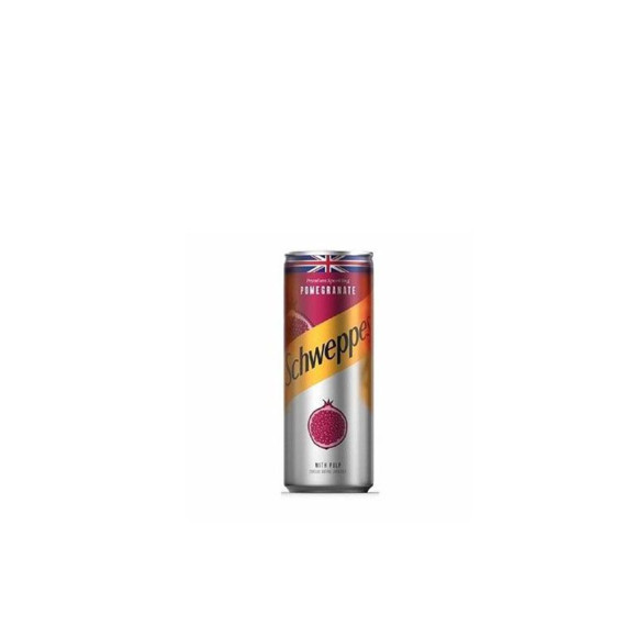 SCHWEPPES GRENADE 24CL